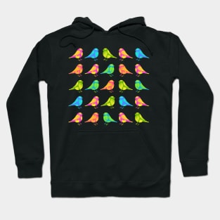 Cute little colourful birds with hearts on black background Hoodie